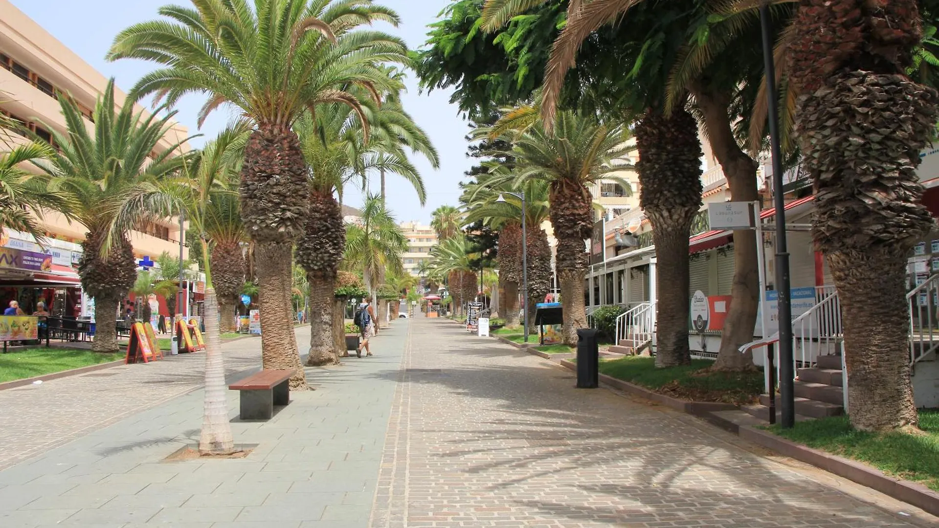 Los Cristianos - 2 Bedrooms - Flayla-C Διαμέρισμα