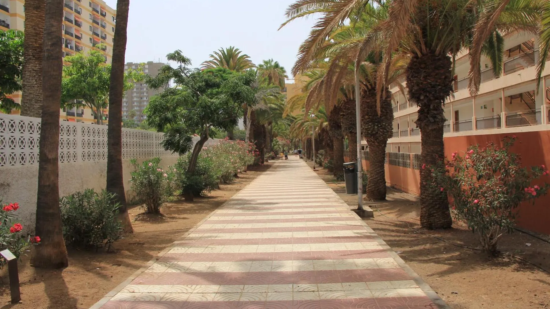 Los Cristianos - 2 Bedrooms - Flayla-C Ισπανία